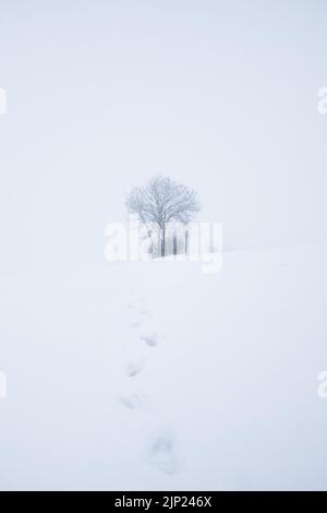 Les pistes dans la neige profonde Banque D'Images