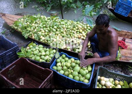 Dhaka, Mexico, Bangladesh. 14th août 2022. 15 août 2022, Barisal, Bangladesh : les agriculteurs voguent des bateaux chargés de guavas sur leur route vers un marché flottant à Barisal, au Bangladesh. Un marché flottant de gros dans le district de Barisal, au sud du pays, à environ 180 km au sud de Dhaka, est maintenant en effervescence avec les acheteurs et les vendeurs tandis que la récolte de la goyave se poursuit sur 14 août 2022 à Barisal, au Bangladesh. (Credit image: © Habibur Rahman/eyepix via ZUMA Press Wire) Banque D'Images