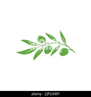 Vecteur icône olive. Signe plat branche olive. Pictogramme vert olive. Illustration logo olive. Illustration vectorielle Illustration de Vecteur