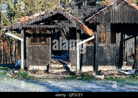 Détail de la structure en bois brûlé d'une maison après l'incendie, foyer sélectif Banque D'Images