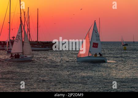 Une vue en soirée des bateaux pendant les vacances d'avant-course de Barcolana, Golfe de Trieste, Italie Banque D'Images