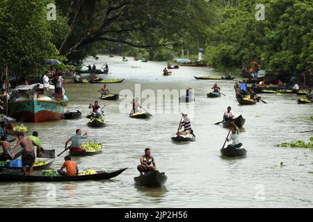 Dhaka, Dhaka, Bangladesh. 15th août 2022. Les agriculteurs sillent des bateaux chargés de guavas sur le chemin d'un marché flottant à Barisal, au Bangladesh, sur 15 août 2022. Des milliers d'agriculteurs gagnent leur vie et vendent ces guavas. La goyave, un fruit ressemblant à une baie, est souvent appelée la « pomme des tropiques ». Bien qu'il ait été originaire de l'Amérique tropicale (dans la terre entre le Mexique et le Pérou), il est aujourd'hui l'une des cultures fruitières importantes du Bangladesh, où il a grandi dans tout le pays. La région du sud du Bangladesh, en particulier les districts de Barisal, Pirojpur et Jhalbokathi, sont les principaux districts de Guava-P. Banque D'Images