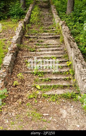 un vieux escalier en pierre délabré vers le haut surcultivé avec de l'herbe Banque D'Images