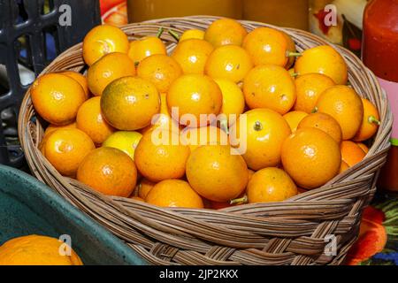 Panier avec plusieurs mandarines de kumquat biologiques, une baie qui ressemble à une miniature ovale orange et a un goût amer d'agrumes Banque D'Images