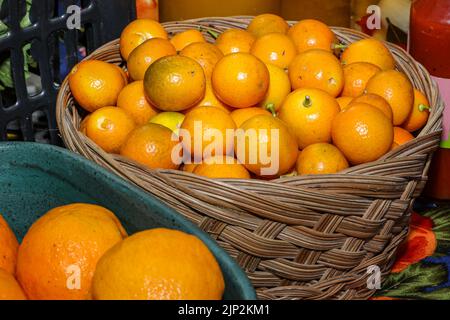 Panier avec plusieurs mandarines de kumquat biologiques, une baie qui ressemble à une miniature ovale orange et a un goût amer d'agrumes Banque D'Images