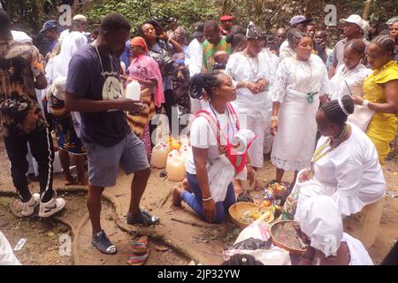 Adorateurs au festival Osun-Osogbo, à Osogbo, la capitale de l'État d'Osun sud-ouest du Nigeria. Osun-Osogbo festival présente une occasion pour les indigenes d'Osogbo, les touristes et autres amateurs de plaisir de converger en ville pour la célébration annuelle de la déité féminine Yoruba que l'on croit apporter la chance et la fertilité pour les dévotés. Le festival a gagné une reconnaissance mondiale. Nigéria. Banque D'Images