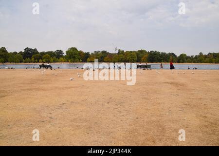 Londres, Royaume-Uni. 15th août 2022. Les jardins de Kensington, parachés et arides, sont à côté de Round Pond, tandis que les vagues de chaleur et une grave sécheresse affectent certaines parties de l'Angleterre. Credit: Vuk Valcic/Alamy Live News Banque D'Images