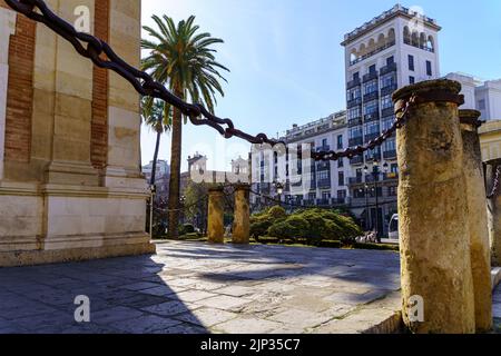 Vue sur la ville de Séville avec ses anciens bâtiments et ses palmiers dans le jardin public. Espagne. Banque D'Images