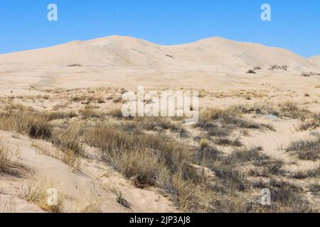 Une belle vue panoramique sur le désert de Kelso Dunes dans la réserve nationale de Mojave, Californie, Etats-Unis Banque D'Images