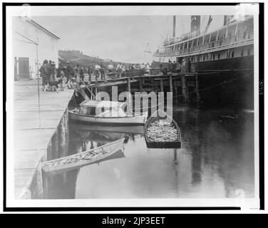 Le navire d'expédition, George W. Elder, au quai peut-être à Sitka, en Alaska, et deux petits bateaux chargés de poissons au premier plan, 1899) - Curtis Banque D'Images