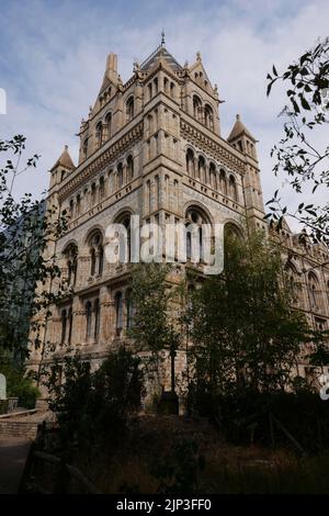 Dippy est de retour jusqu'au 2 janvier 2023 .Dippy a été le premier Diplodocus (DIP-low-DOCK-US) à être exposé n'importe où dans le monde quand il a été offert au Musée en 1905. Il devint rapidement une étoile, capturant les cœurs et l'imagination. Dippy a ensuite quitté le musée en 2017 pour terminer une visite éclair du Royaume-Uni. Tout au long de ce voyage, Dippy a été témoin de l'évolution de la nature et de la baisse marquée de la biodiversité au Royaume-Uni. La visite de Dippy nous a également rappelé la joie que nous pouvons trouver dans nos paysages locaux - de l'adoption du calme d'une forêt à l'observation de chants d'oiseaux dans un parc animé. Banque D'Images