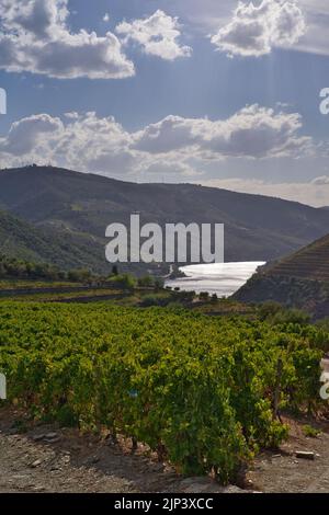 Un cliché vertical du fleuve Douro près des montagnes à Porto, Portugal Banque D'Images