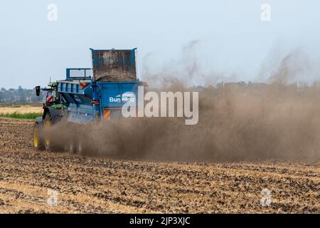 Aldreth, Cambridgeshire, Royaume-Uni. 15th août 2022. Un agriculteur répand de la chaux sur un champ arable, ce qui permet de tirer le meilleur parti du temps sec avant que des tempêtes de tonnerre et des pluies ne soient prévues dans une grande partie du Royaume-Uni. Les conditions arides provoquent des vols de poussière et le temps du Royaume-Uni devrait se refroidir avec les périodes de pluie. Crédit : Julian Eales/Alay Live News Banque D'Images