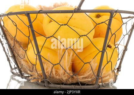 Plusieurs abricots jaune vif juteux d'ananas dans un panier, macro isolé sur un fond blanc. Banque D'Images