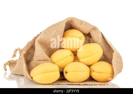 Plusieurs abricots jaune vif juteux d'ananas dans un sac de jute, macro isolé sur un fond blanc. Banque D'Images