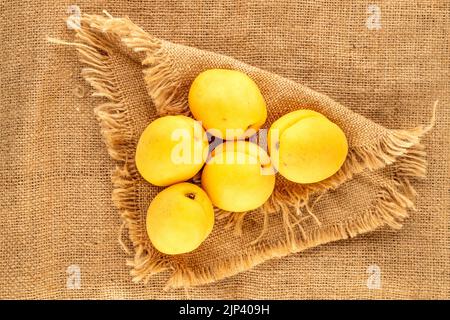 Plusieurs abricots jaune vif juteux d'ananas sur une serviette jute, macro, vue de dessus. Banque D'Images