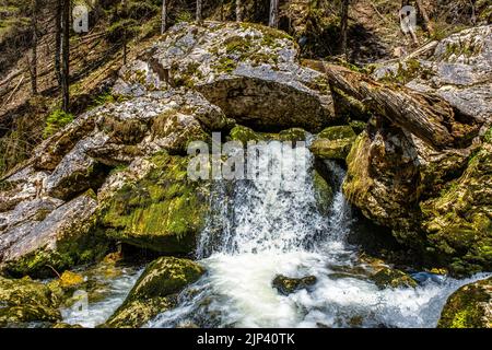 L'eau douce coule sur des rochers et des pierres sur un lit de rivière, dans un magnifique paysage de nature Banque D'Images