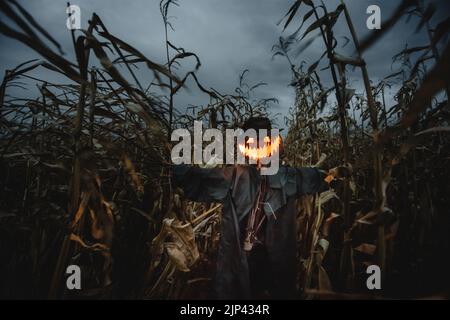 Épouvantail avec tête de citrouille dans un chapeau et manteau sur le champ de maïs de nuit. Un concept effrayant pour les fêtes d'Halloween. Arrière-plan de Halloweens Banque D'Images