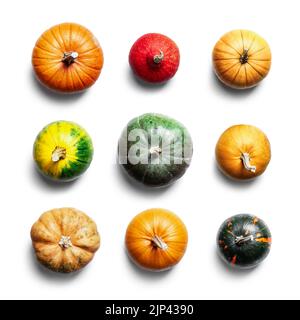 Ensemble de citrouilles différentes isolées sur fond blanc. Image avec la plus grande résolution voir dans mon portefeuille Banque D'Images