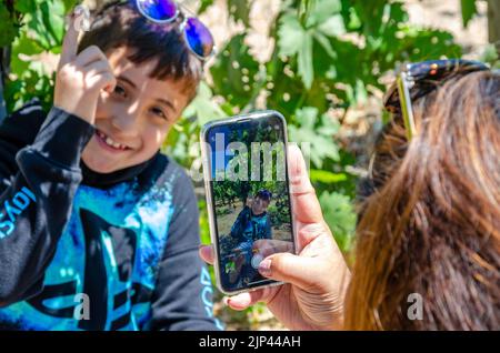 Une dame prend une photo à l'aide de son téléphone portable de son fils lors d'une visite d'un domaine viticole en vacances dans la vallée de Napa, en Californie, aux États-Unis Banque D'Images