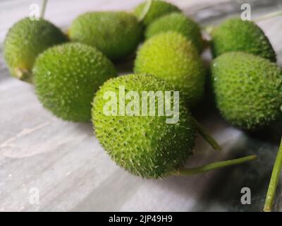 Fruits de gourde à la fois verts et épineux sur la table Banque D'Images