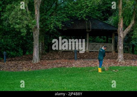 Un jardinier balaie les feuilles avec un balai dans les jardins botaniques de Singapour. Banque D'Images