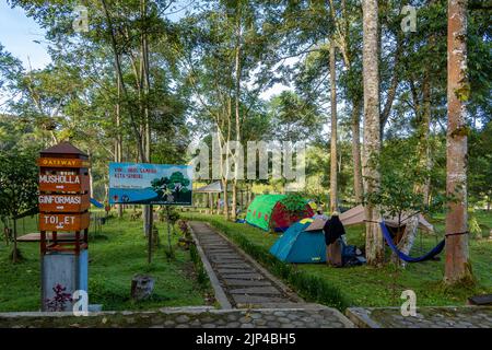 Les habitants campent au camp. Parc national de Lore Lindu. Sulawesi, Indonésie. Banque D'Images