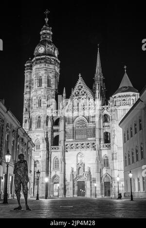 Cathédrale Sainte-Elisabeth, Košice, Slovaquie Banque D'Images