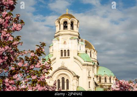 Prog Cathédrale orthodoxe Alexander Nevsky à Sofia Bulgarie comme vu à travers les cerisiers en fleurs de sakura un jour ensoleillé de printemps Banque D'Images