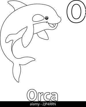 Orca Alphabet ABC coloriage page O Illustration de Vecteur