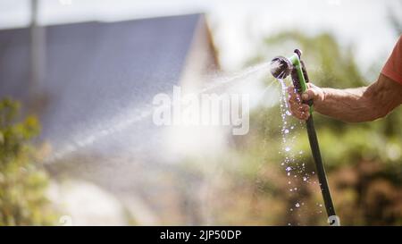 Main de fermier avec tuyau de jardin et pistolet arrosoir les plantes végétales en été. Concept de jardinage. Plantes agricoles poussant dans la rangée de lits Banque D'Images