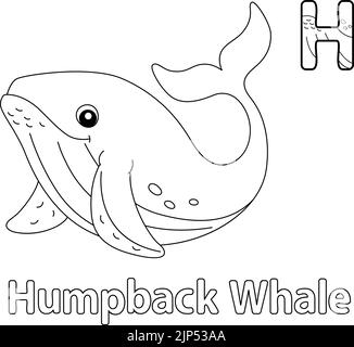Baleine à bosse Alphabet ABC coloriage page H Illustration de Vecteur