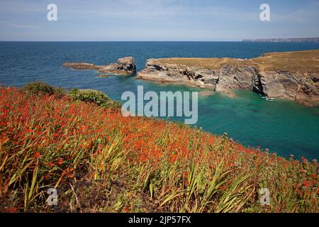 Port Gaverne. Cornouailles, Angleterre Banque D'Images