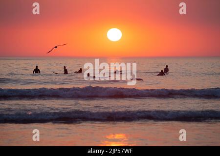 Surfeurs attendant les vagues au coucher du soleil. Plage de Polzeath. Cornouailles, Angleterre Banque D'Images