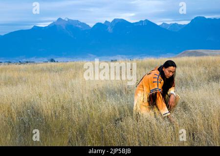 Blackfeet homme en chemise à perles et leggings traditionnels choisit la sauge blanche au pied des montagnes de Mission, Montana Banque D'Images