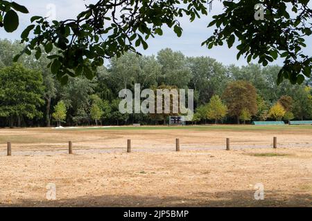 Eton, Windsor, Berkshire, Royaume-Uni. 15th août 2022. Comme dans la plupart des pays du Royaume-Uni, la canicule et la sécheresse ont des conséquences sur les terrains de l'école publique Eton College. On prévoit beaucoup de pluies nécessaires pour la semaine à venir et le Sud-est est maintenant officiellement en proie à la sécheresse. Crédit : Maureen McLean/Alay Live News Banque D'Images