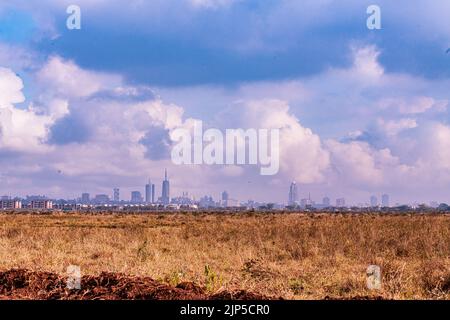 Nairobi City County National Park oiseaux animaux faune savane prairies paysages panoramiques vues panoramiques magiques Kenya Afrique de l'est Discovery Exp Banque D'Images