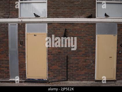 Comdemned maisons de descente prêtes pour la démolition à Londres, Angleterre, Royaume-Uni Banque D'Images