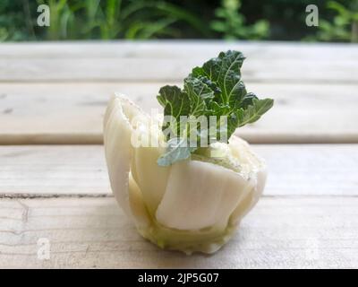 Bok choy ou pak choi en croissance, chou chinois, légumes à feuilles vertes. Banque D'Images