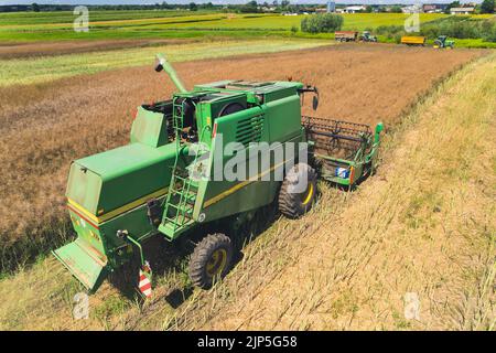 Vue aérienne d'une moissonneuse-batteuse agricole verte avec rabatteur rotatif pour la récolte dans un grand champ de céréales. Tracteurs avec remorques. Vue d'été parfaite depuis un drone volant. Photo de haute qualité Banque D'Images