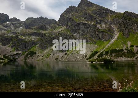 Lac Czarny Staw sur un sentier de randonnée vers le col de la montagne Zawrat depuis la cabane de montagne Murowaniec en juillet, montagnes Tatry, Pologne Banque D'Images