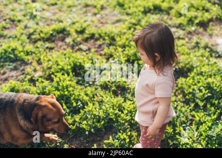 Bébé fille jouant à l'extérieur avec son labrador retriever chiot appréciant l'été ensoleillé jour vacances. Portrait extérieur d'un petit enfant mignon, d'un bébé ou Banque D'Images