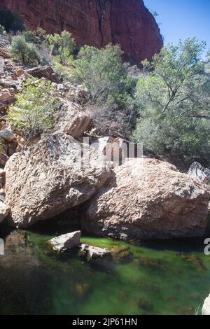 Lumière du soleil tombant sur une piscine inférieure à Emma gorge, Gibb River Road, East Kimberley Banque D'Images