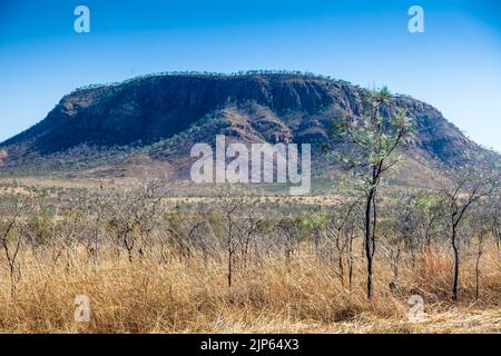 Outlier de la chaîne de Cockburn de la partie étanche est de la route de la rivière Gibb, East Kimberley Banque D'Images