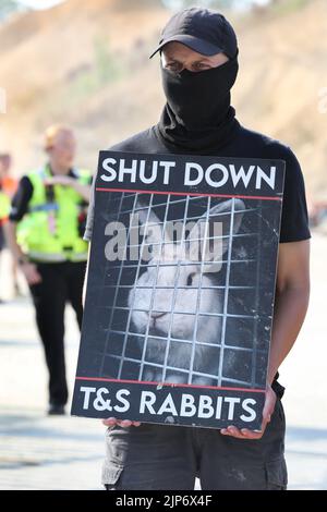 Ancaster, Royaume-Uni. 15th août 2022. Le militant des droits des animaux tient une affiche pendant la démonstration. Les militants des droits des animaux exercent une forte pression sur Phil Kerry pour qu'il ferme les lapins T&S à East Bridgford. Ils soutiennent qu'il traite les lapins très mal sur sa ferme, en les négligeant et en les utilisant pour la fourrure et la viande. Ils exigent que les lapins T&S se ferment et tous les lapins sont libérés. Crédit : SOPA Images Limited/Alamy Live News Banque D'Images