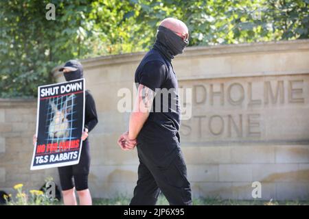 Ancaster, Royaume-Uni. 15th août 2022. Le militant des droits des animaux tient une affiche pendant la démonstration. Les militants des droits des animaux exercent une forte pression sur Phil Kerry pour qu'il ferme les lapins T&S à East Bridgford. Ils soutiennent qu'il traite les lapins très mal sur sa ferme, en les négligeant et en les utilisant pour la fourrure et la viande. Ils exigent que les lapins T&S se ferment et tous les lapins sont libérés. Crédit : SOPA Images Limited/Alamy Live News Banque D'Images