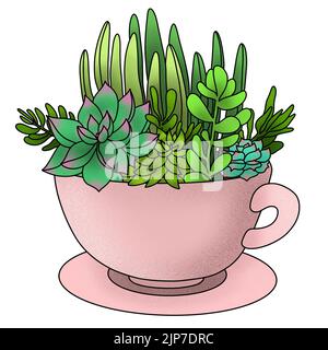 illustration de style plat de succulent jardin dans une tasse, fleurs poussant dans la tasse pot. maison jardinage, tendance de plantes vertes composition. Banque D'Images