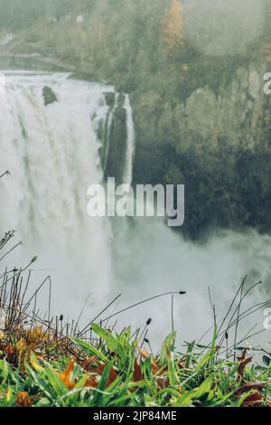 Vue sur la chute d'eau de Snoqualmie Falls avec plantes en premier plan Banque D'Images