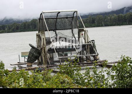 Pêche au saumon les Haines est un lieu désigné par recensement situé à Haines Borough, en Alaska, aux États-Unis. Il est dans la partie nord de l'Alaska Panhandl Banque D'Images