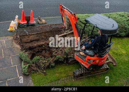 Personne utilisant un petit creuseur dans un jardin enlever la haie qui obstrue le pavé prêt à installer une allée perméable. Angleterre Banque D'Images